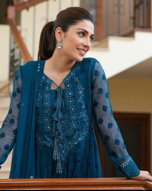 Faiza Saqlain Full Embroidered Chiffon drees for women - Image 4