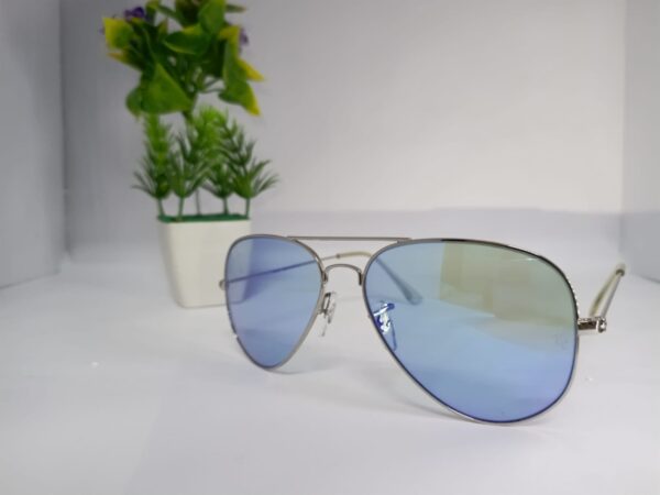 Ray Bun Sun Glasses
